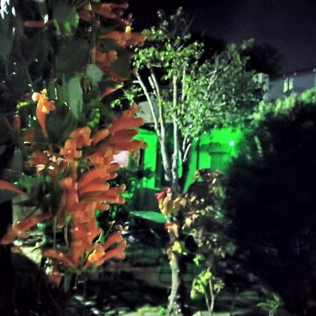 Last Chance Cafe And Guest House Rishikesh Luaran gambar