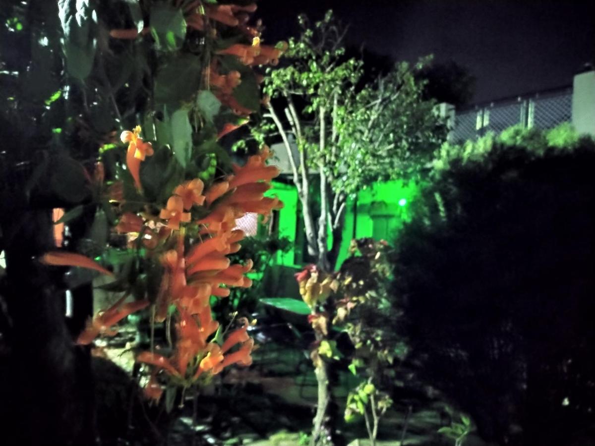 Last Chance Cafe And Guest House Rishikesh Luaran gambar