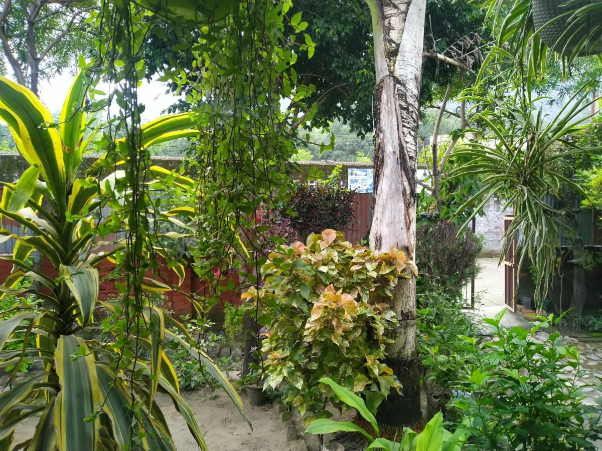 Last Chance Cafe And Guest House Rishikesh Luaran gambar